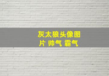 灰太狼头像图片 帅气 霸气